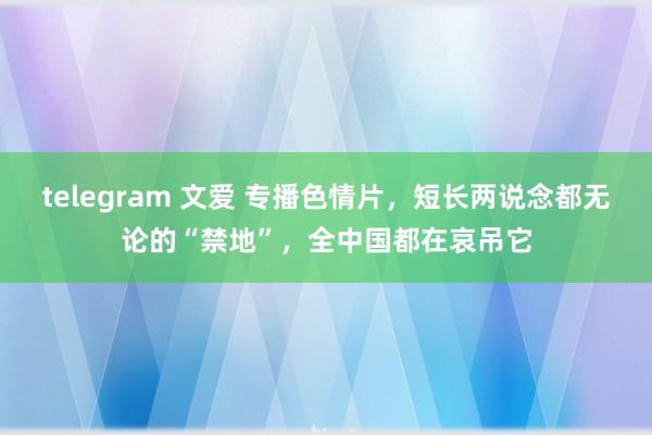 telegram 文爱 专播色情片，短长两说念都无论的“禁地”，全中国都在哀吊它